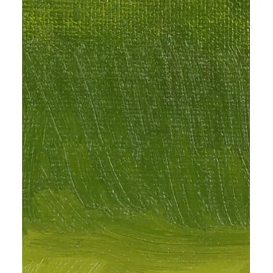 Golden Artist Colors Oil Colour Olive Green Williamsburg - Handmade Oil Colours - 37mL Tubes - Series 6