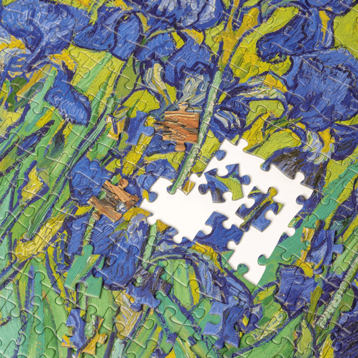 Today is Art Day Jigsaw Puzzle Vincent van Gogh's Irises - 1,000 Piece Jigsaw Puzzle