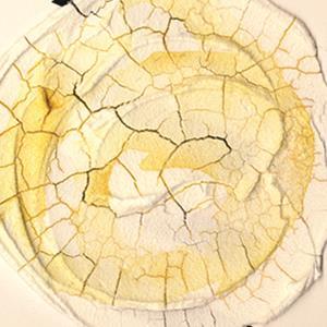 GOLDEN CRACKLE PASTE Golden Crackle Paste 236ml