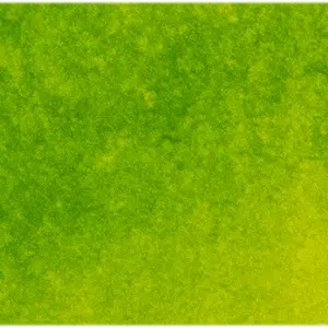 Michael Harding Watercolour Tube Bright Green Lake 116 Michael Harding - Artists' Watercolour - 15mL Tubes - Series 1