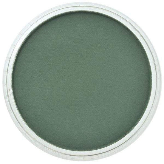 PANPASTEL TRADITIONAL COLOURS PERM GREEN EX DARK PanPastel Soft Pastels - Individuals Colours