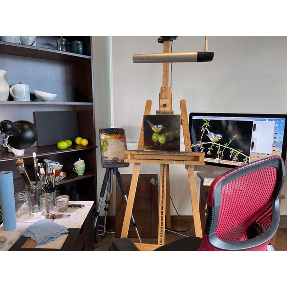 Show Your Space | Rose Tanner