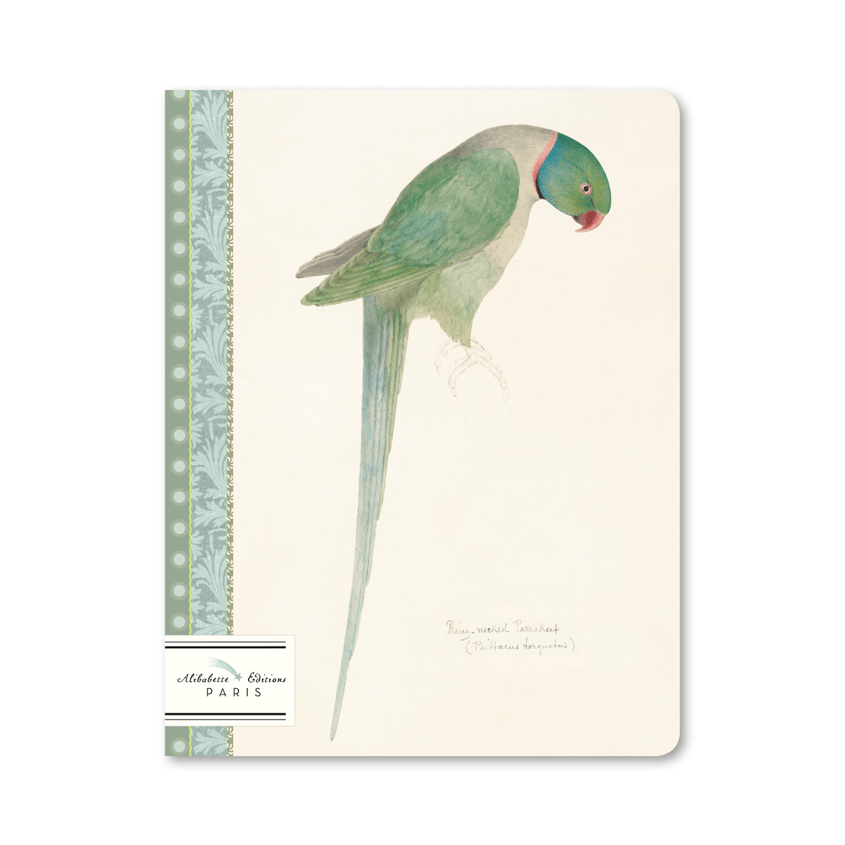 Alibabette Notebook - Ruled Alibabette - Slim Notebook - 17x22cm - Perruche (Parakeet)