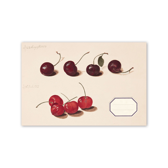 Alibabette Sketchbook - Stitchbound Alibabette - Landscape Artbook - 21x14cm - Les Cerises