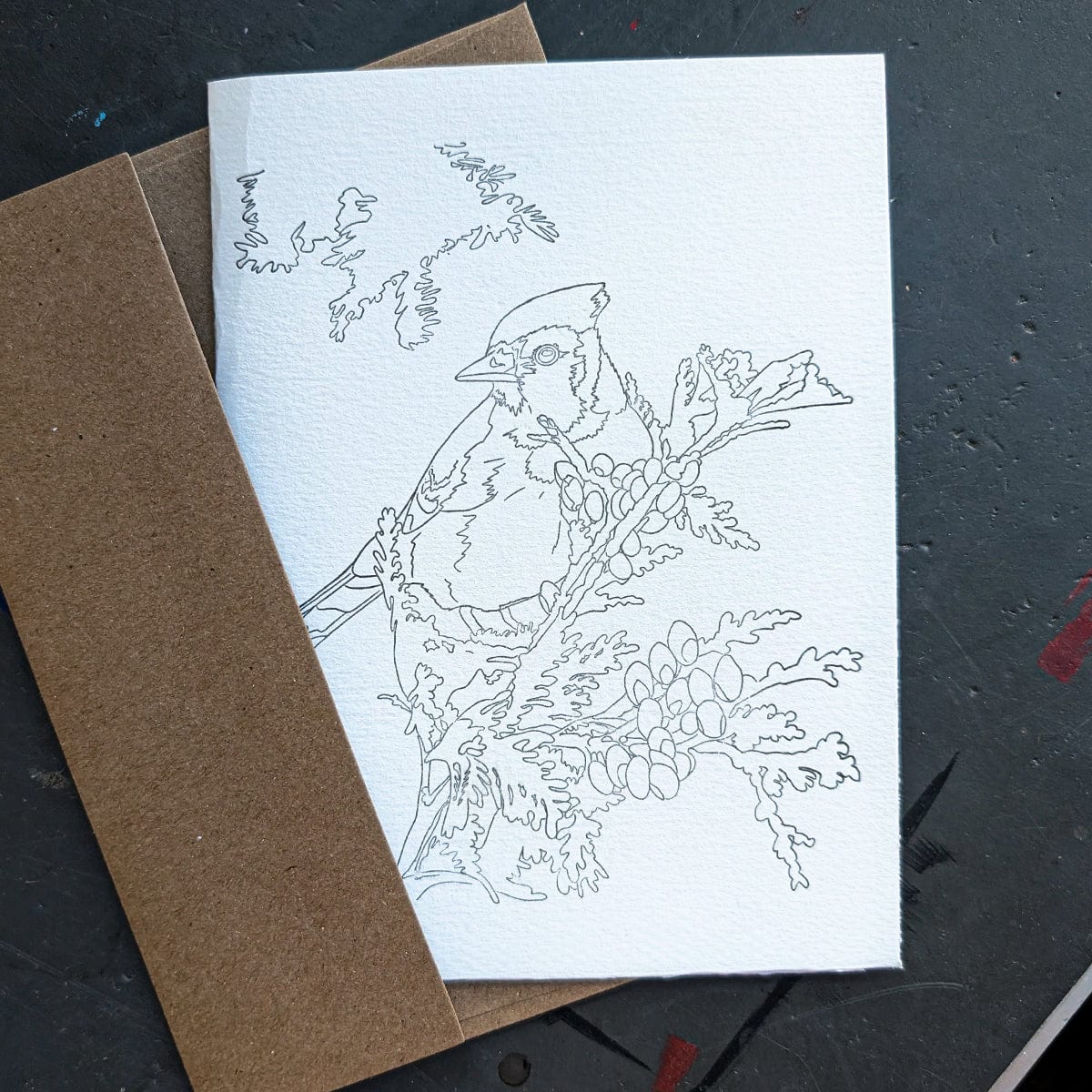 Beam Paints Greeting Cards Bluejay Beam Paints - Paintable Greeting Cards