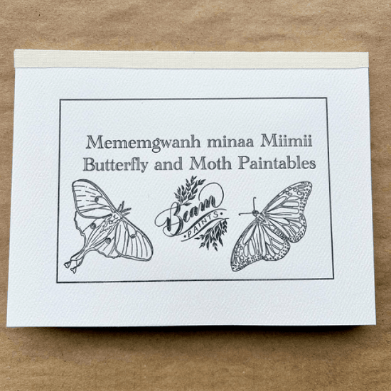 Beam Paints Postcards Butterfly & Moth Beam Paints - Paintable Postcards