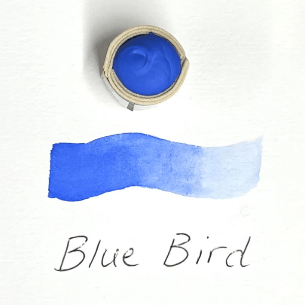 Beam Paints Watercolour Paintstone Blue Bird Beam - Handmade Watercolours - Individual Paintstones