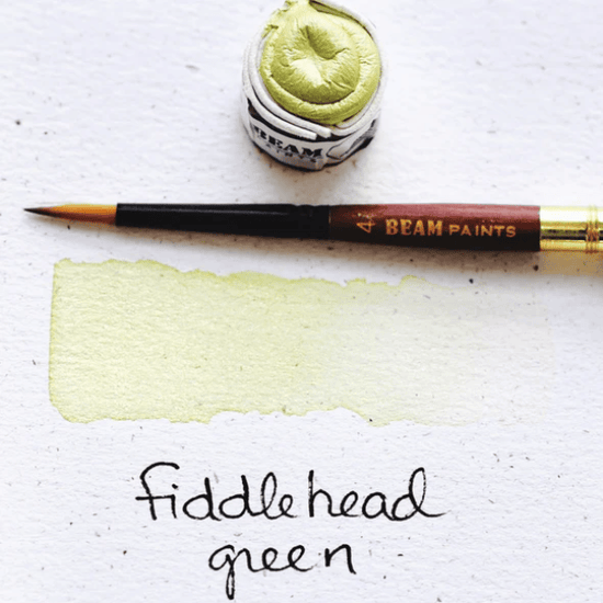 Beam Paints Watercolour Paintstone Fiddlehead Green Beam - Handmade Watercolours - Individual Paintstones