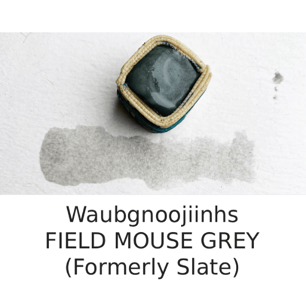 Beam Paints Watercolour Paintstone Field Mouse - Waubgnoojiinhs Beam - Handmade Watercolours - Individual Paintstones