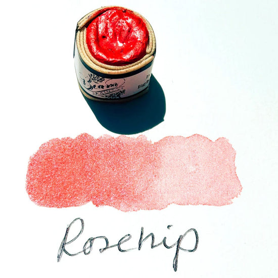 Beam Paints Watercolour Paintstone Rosehip Beam - Handmade Watercolours - Individual Paintstones