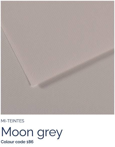 Canson Pastel Paper MOON GREY 186 Canson - Mi-Teintes - Pastel Paper - 8.5 x 11" Sheets
