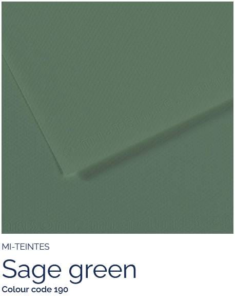 Canson Pastel Paper SAGE GREEN 190 Canson - Mi-Teintes - Pastel Paper - 8.5 x 11" Sheets