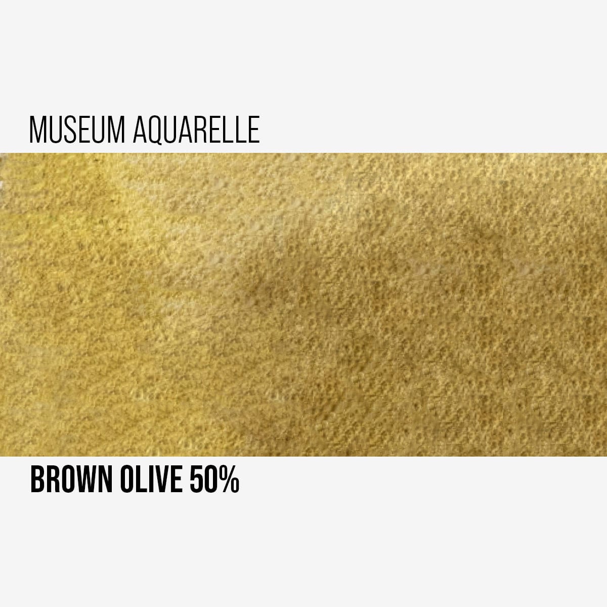 Caran d'Ache Watercolour Pencil Brown Olive 50% - 736 Caran d'Ache - Museum Aquarelle Pencils - Individual Colours