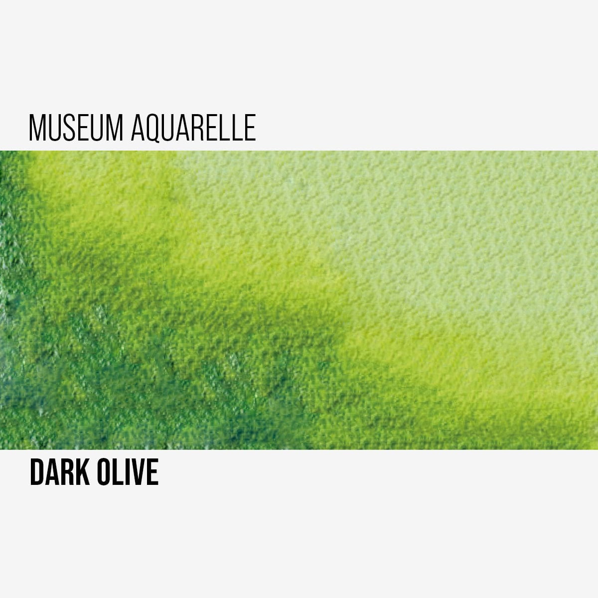 Caran d'Ache Watercolour Pencil Dark Olive - 249 Caran d'Ache - Museum Aquarelle Pencils - Individual Colours