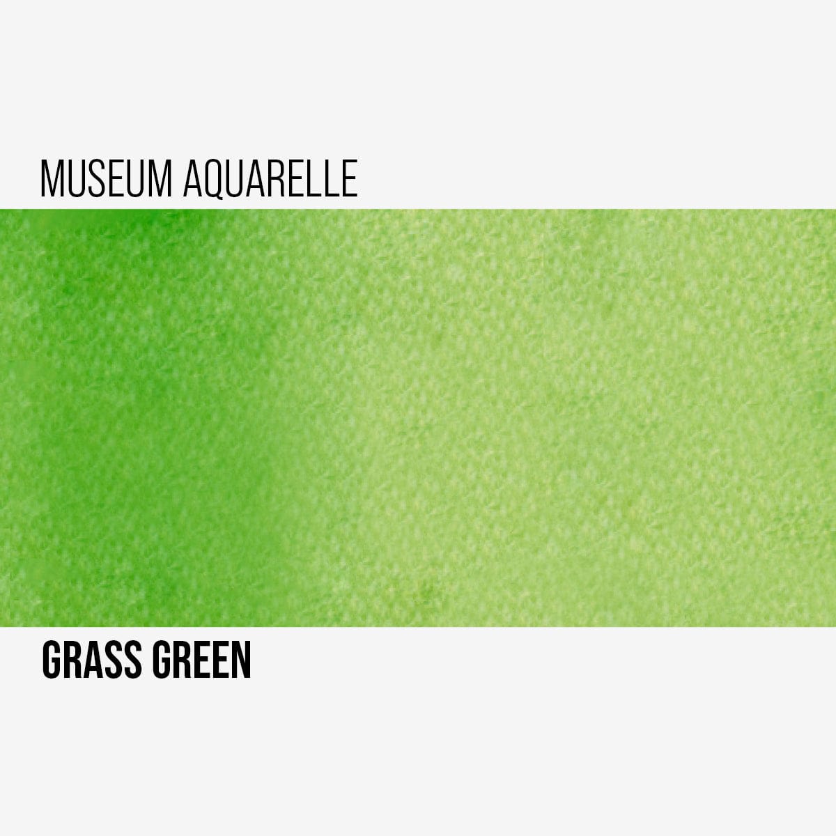 Caran d'Ache Watercolour Pencil Grass Green - 220 Caran d'Ache - Museum Aquarelle Pencils - Individual Colours