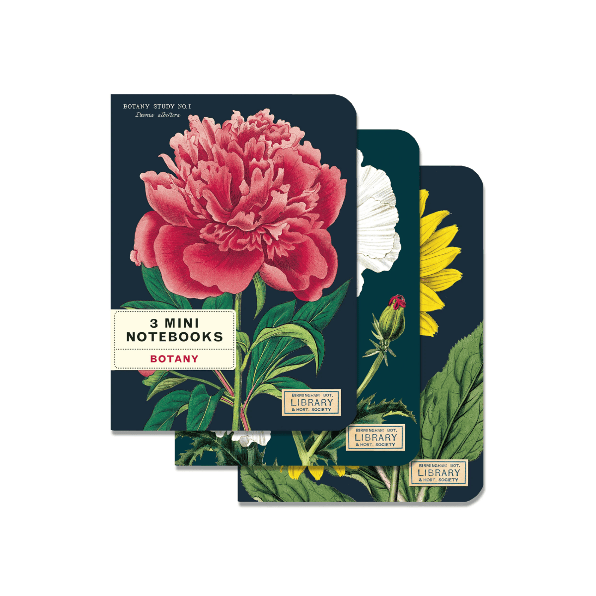 Cavallini & Co. Notebook Cavallini & Co. - 3 Mini Notebooks - Botany