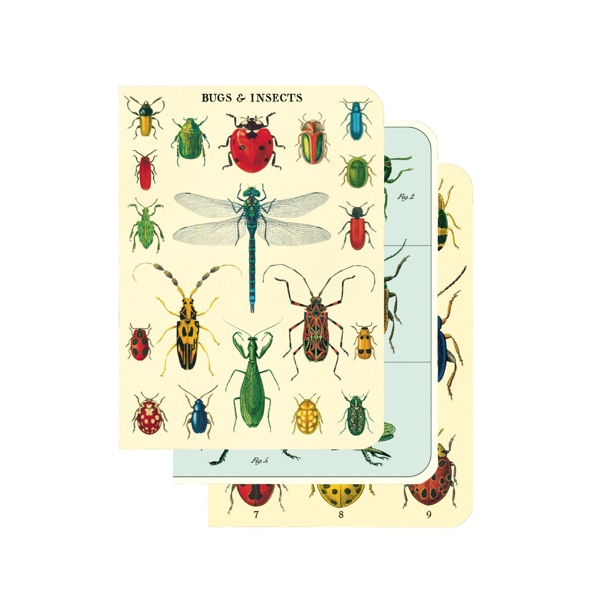 Cavallini & Co. Notebook Cavallini & Co. - 3 Mini Notebooks - Bugs & Insects