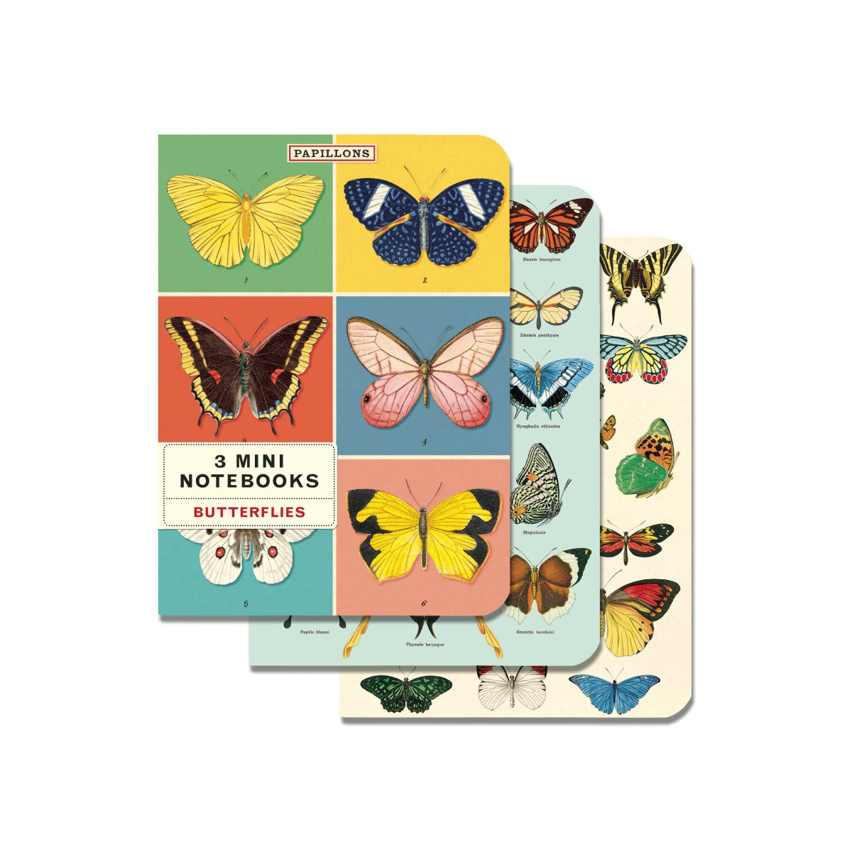 Cavallini & Co. Notebook Cavallini & Co. - 3 Mini Notebooks - Butterflies