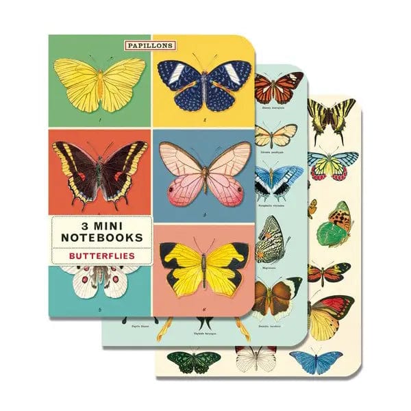 Cavallini & Co. Notebook Cavallini & Co. - 3 Mini Notebooks - Butterflies