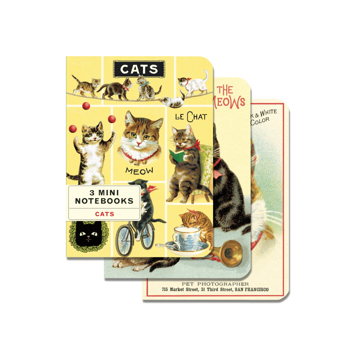 Cavallini & Co. Notebook Cavallini & Co. - 3 Mini Notebooks - Cats