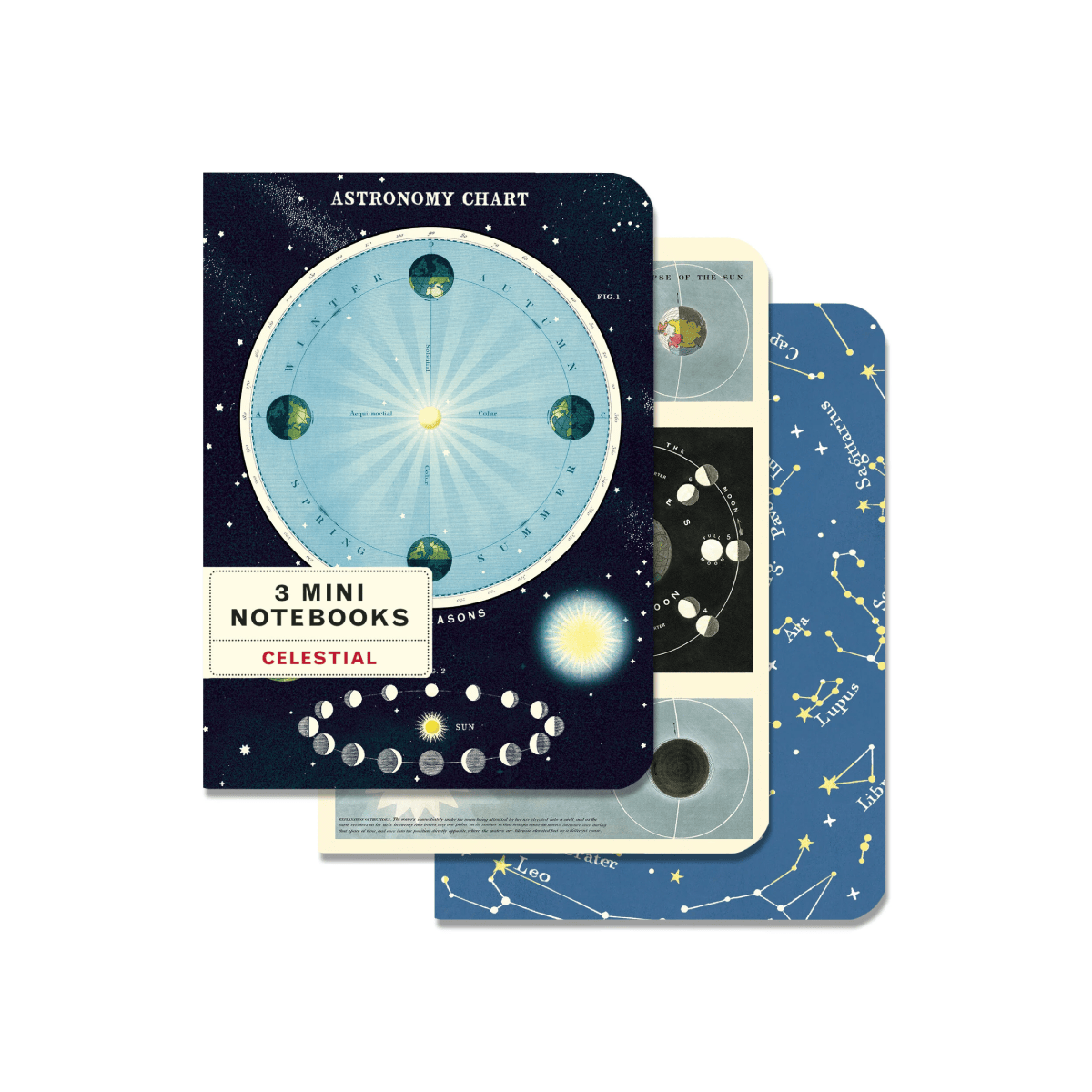 Cavallini & Co. Notebook Cavallini & Co. - 3 Mini Notebooks - Celestial