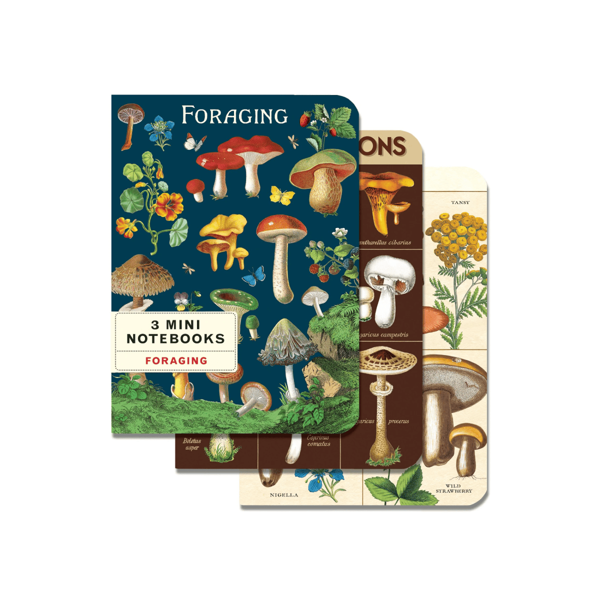 Cavallini & Co. Notebook Cavallini & Co. - 3 Mini Notebooks - Foraging