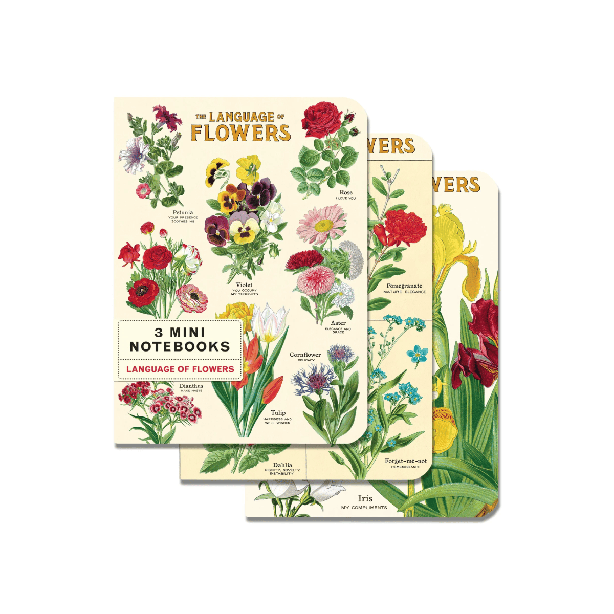 Cavallini & Co. Notebook Cavallini & Co. - 3 Mini Notebooks - Language of Flowers