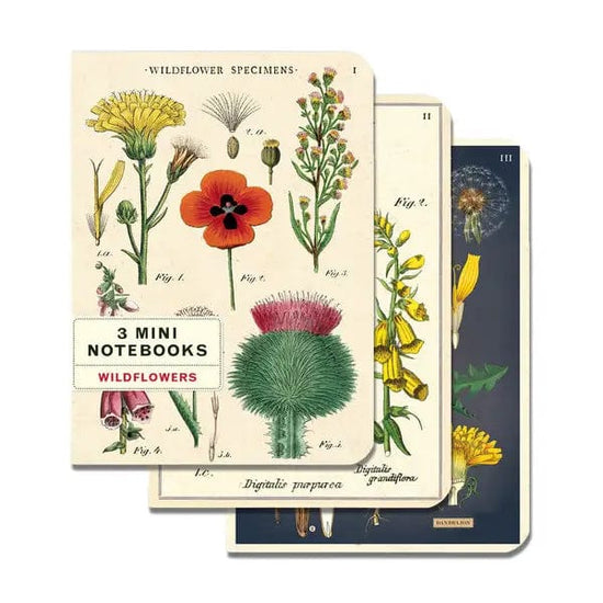 Cavallini & Co. Notebook Cavallini & Co. - 3 Mini Notebooks - Wildflowers