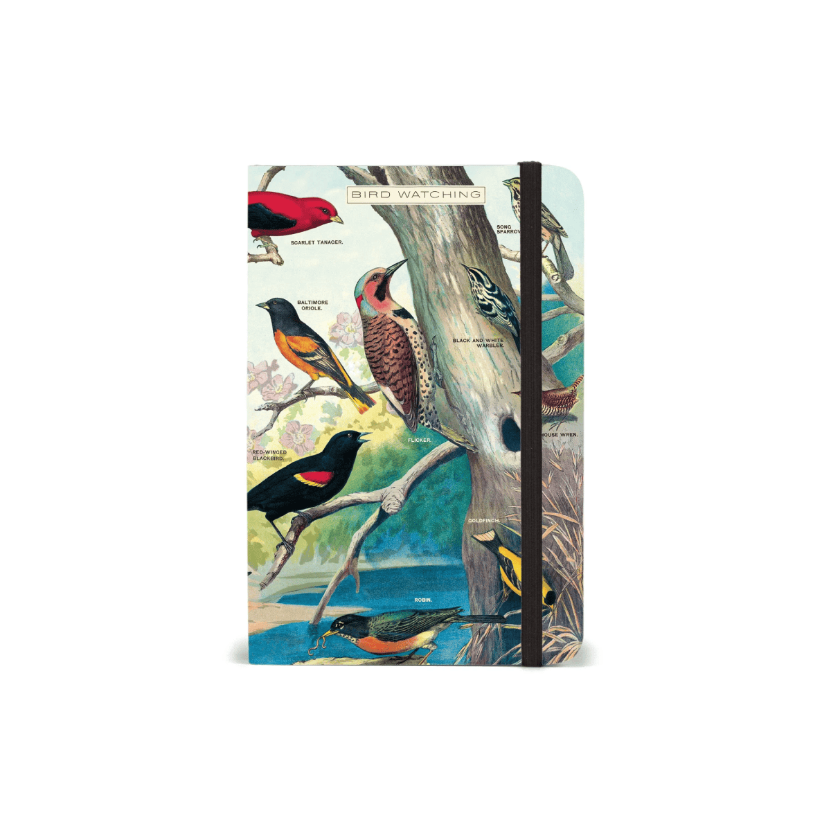 Cavallini & Co. Notebook Cavallini & Co. - Hardcover Notebook - Bird Watching