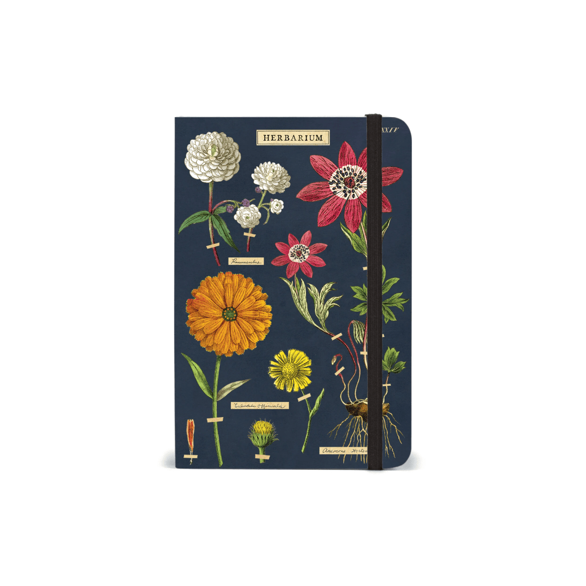 Cavallini & Co. Notebook Cavallini & Co. - Hardcover Notebook - Herbarium