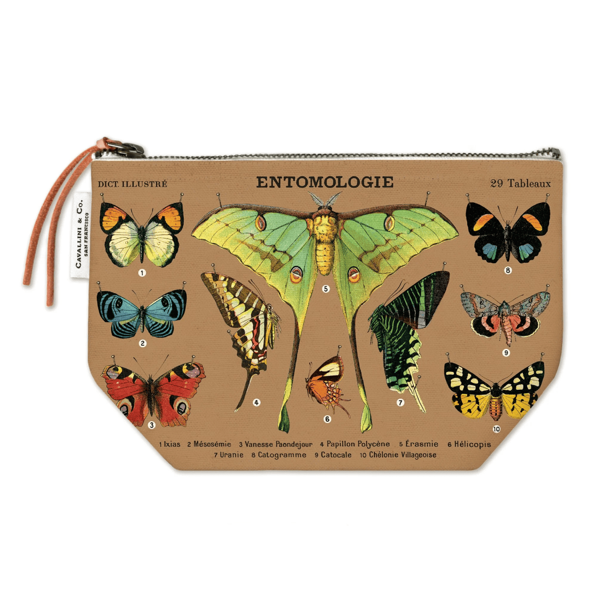 Cavallini & Co. Pencil Case Cavallini & Co. - Vintage Pouch - Entomology