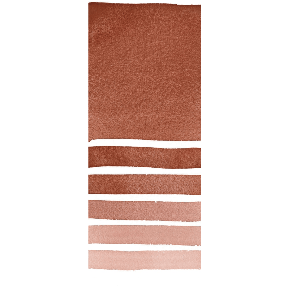 Daniel Smith Watercolour Tube Burnt Yellow Ochre Daniel Smith - Extra Fine Watercolours - 15mL Tubes - Series 2