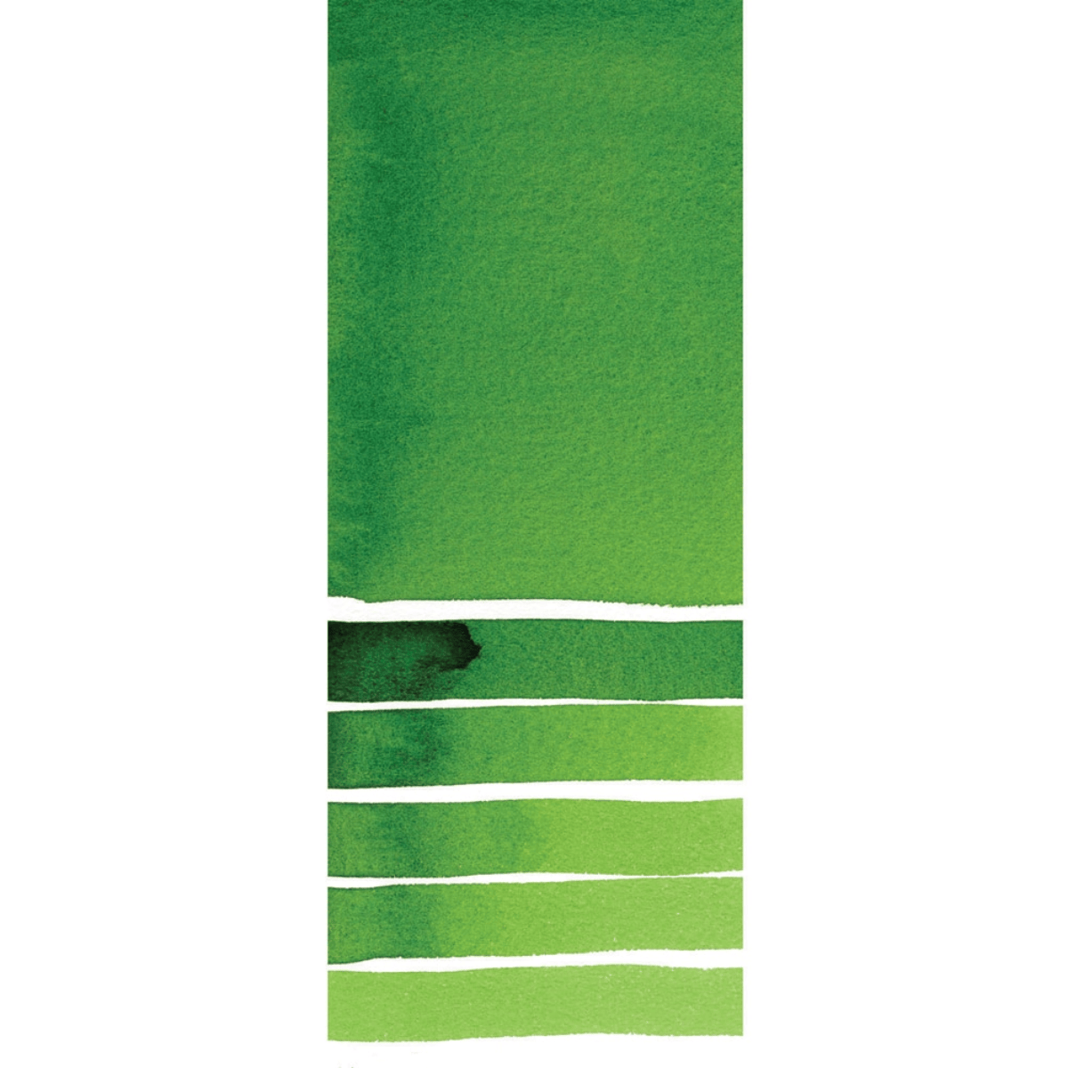 Daniel Smith Watercolour Tube Hooker's Green Daniel Smith - Extra Fine Watercolours - 5mL Tubes - Series 1