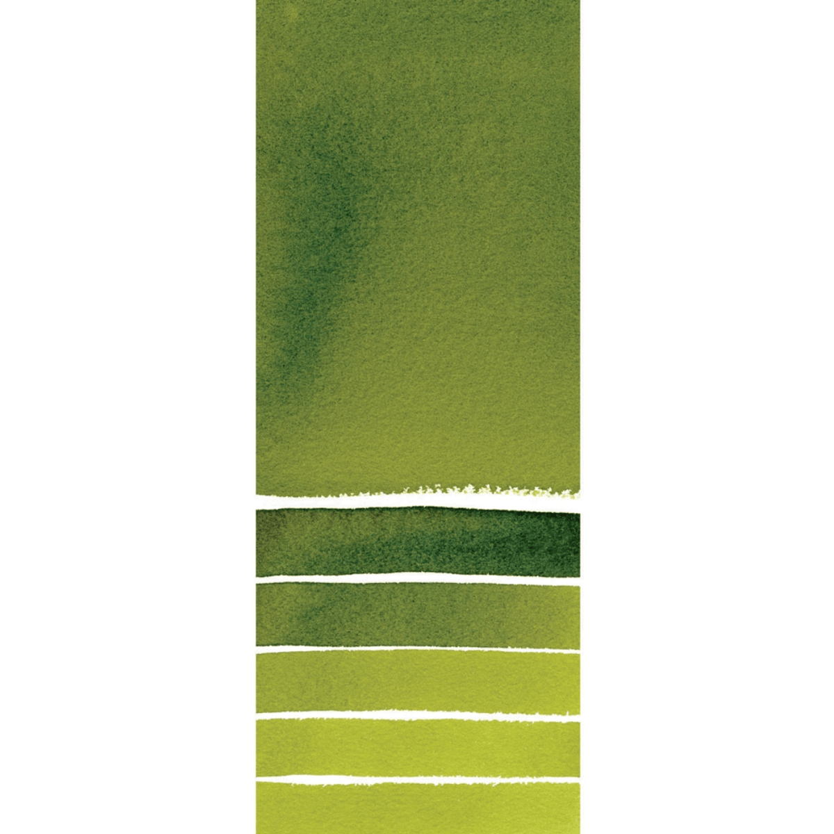 Daniel Smith Watercolour Tube Sap Green Daniel Smith - Extra Fine Watercolours - 5mL Tubes - Series 2