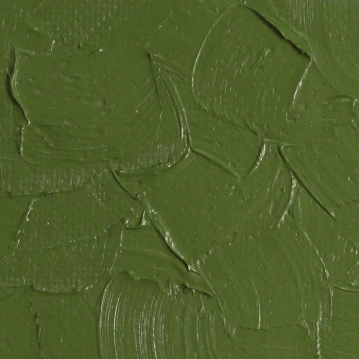 Gamblin Oil Colour Bush Green Gamblin - Artist's Oil Colour - 37mL Tubes - Series 2