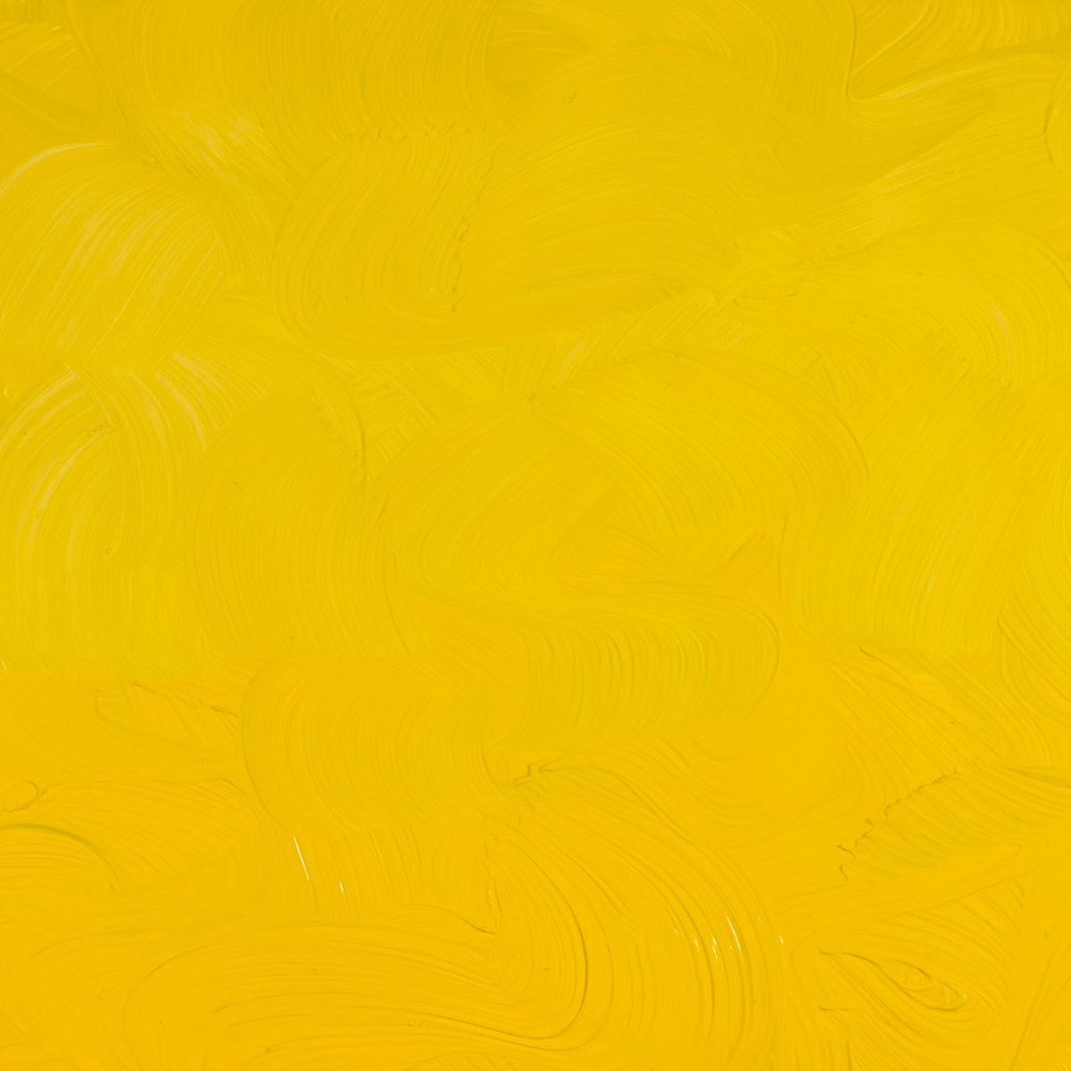 Gamblin Oil Colour Cadmium Yellow Medium Gamblin - Artist's Oil Colour - 37mL Tubes - Series 4