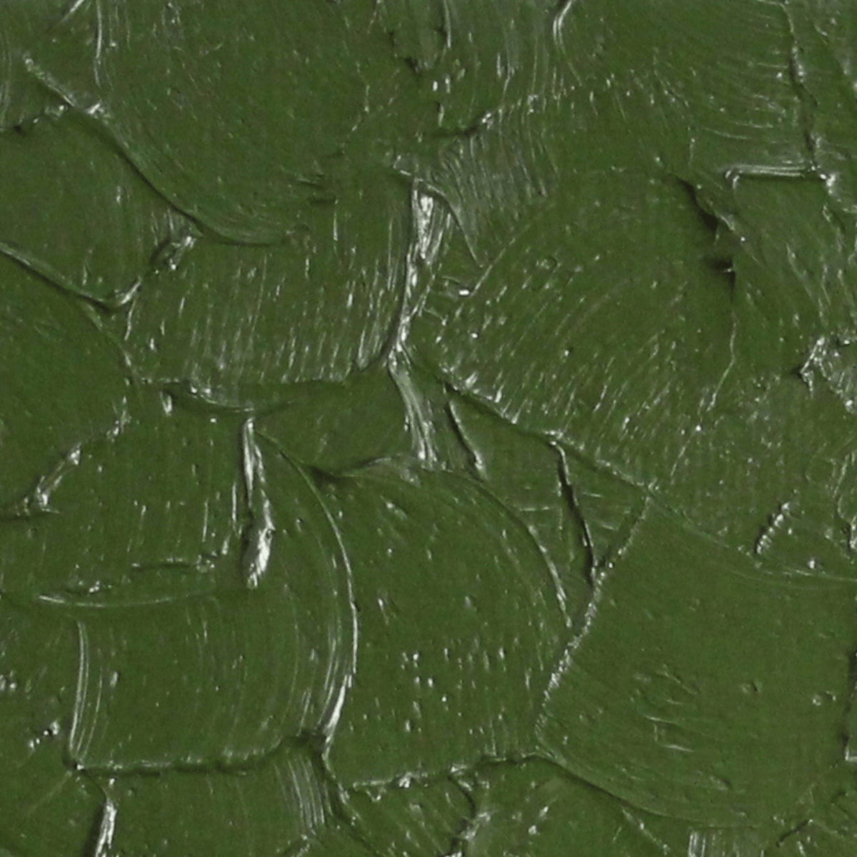 Gamblin Oil Colour Forest Floor Green Gamblin - Artist's Oil Colour - 37mL Tubes - Series 2