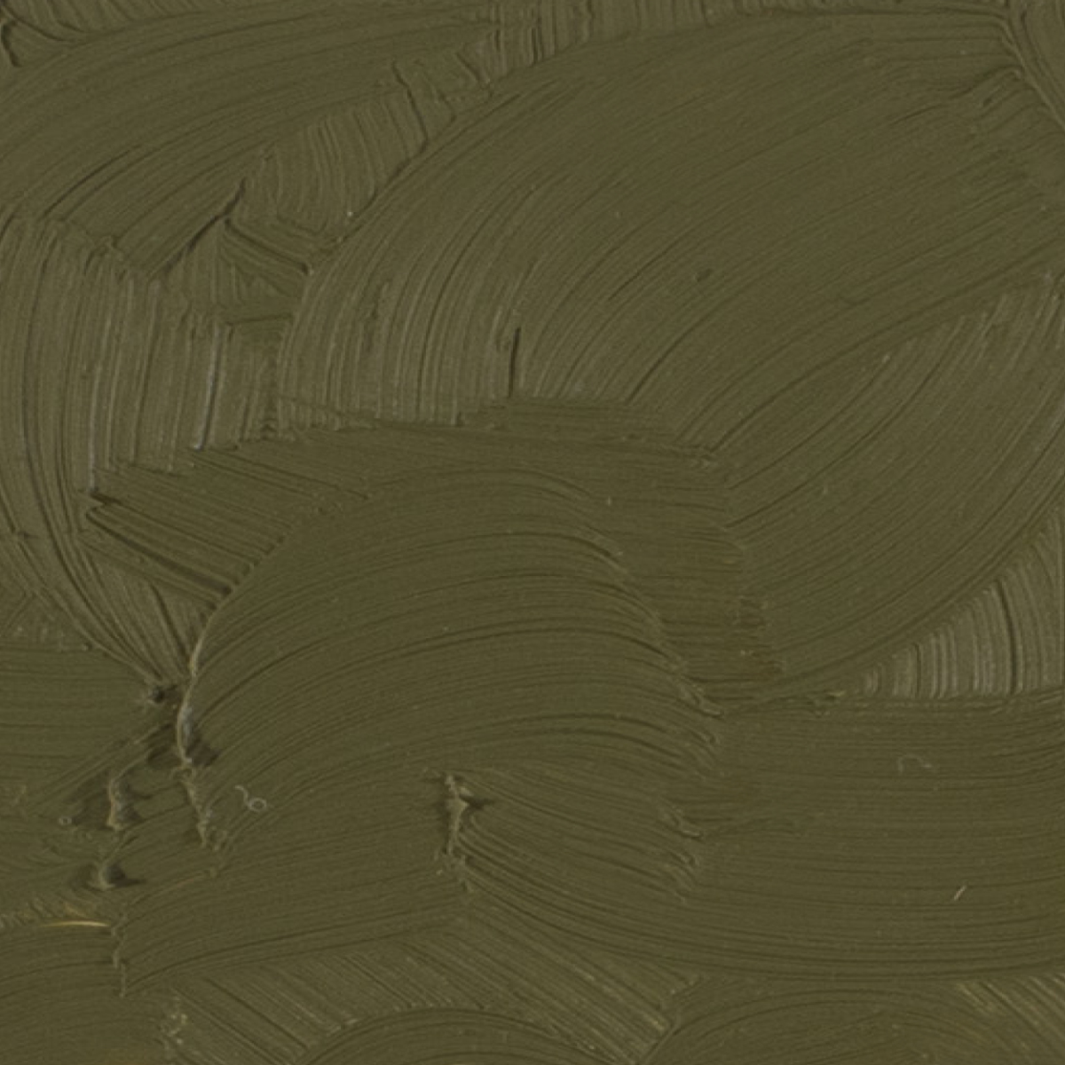 Gamblin Oil Colour Terre Verte Gamblin - Artist's Oil Colour - 37mL Tubes - Series 2