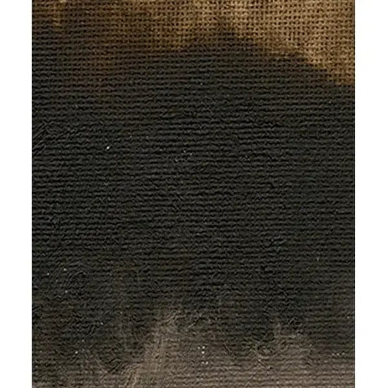Golden Artist Colors Oil Colour Burnt Umber Williamsburg - Handmade Oil Colours - 37mL Tubes - Series 1