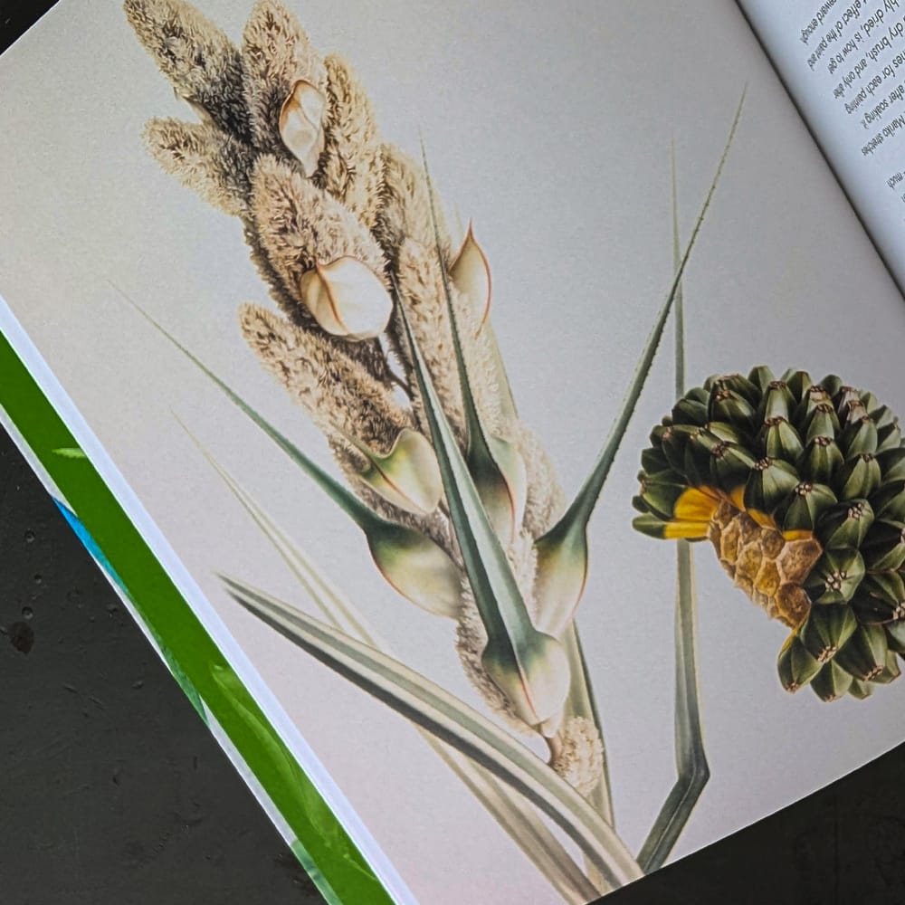 Hachette Trade Book Watercolour Botanical Art by Sarah Howard