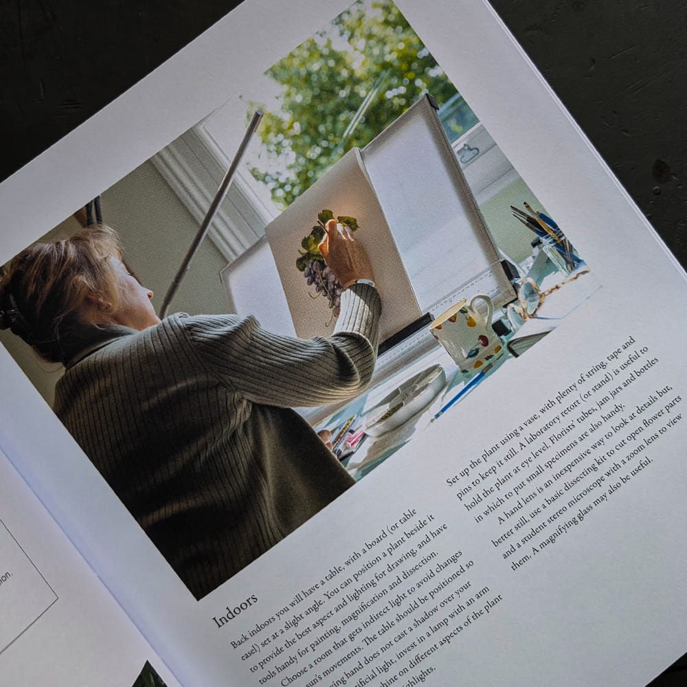 Hachette Trade Book Watercolour Botanical Art by Sarah Howard