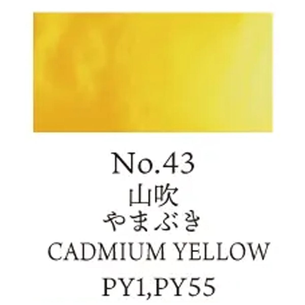 Kuretake Watercolour Pan Cadmium Yellow - 43 Kuretake - Gansai Tambi - Individual Watercolour Pans