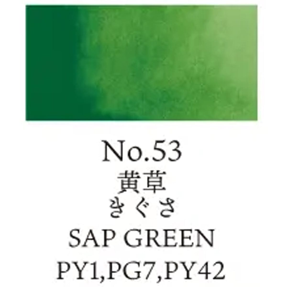 Kuretake Watercolour Pan Sap Green - 53 Kuretake - Gansai Tambi - Individual Watercolour Pans