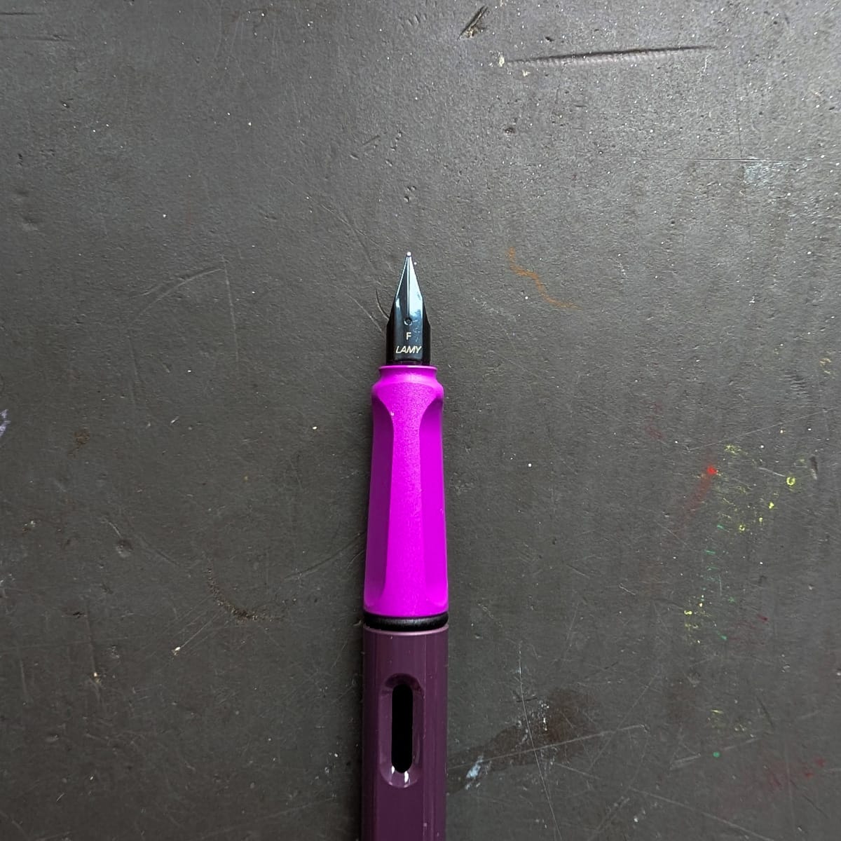 LAMY Fountain Pen Kewi Violet & Blackberry / Fine LAMY - Safari Fountain Pens - Special Edition