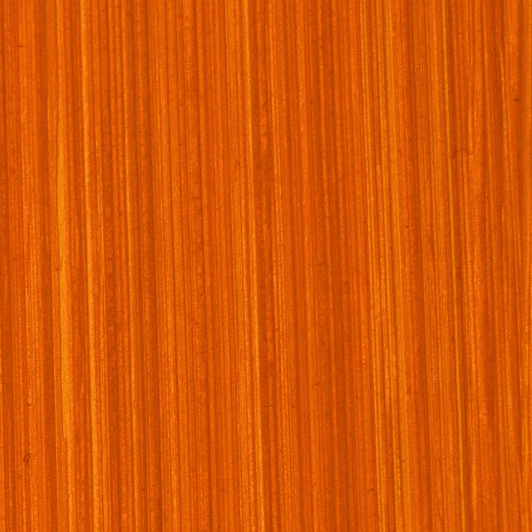 Michael Harding Oil Colour Brilliant Orange Michael Harding - Artists' Oil Colour - 40mL Tubes - Series 2