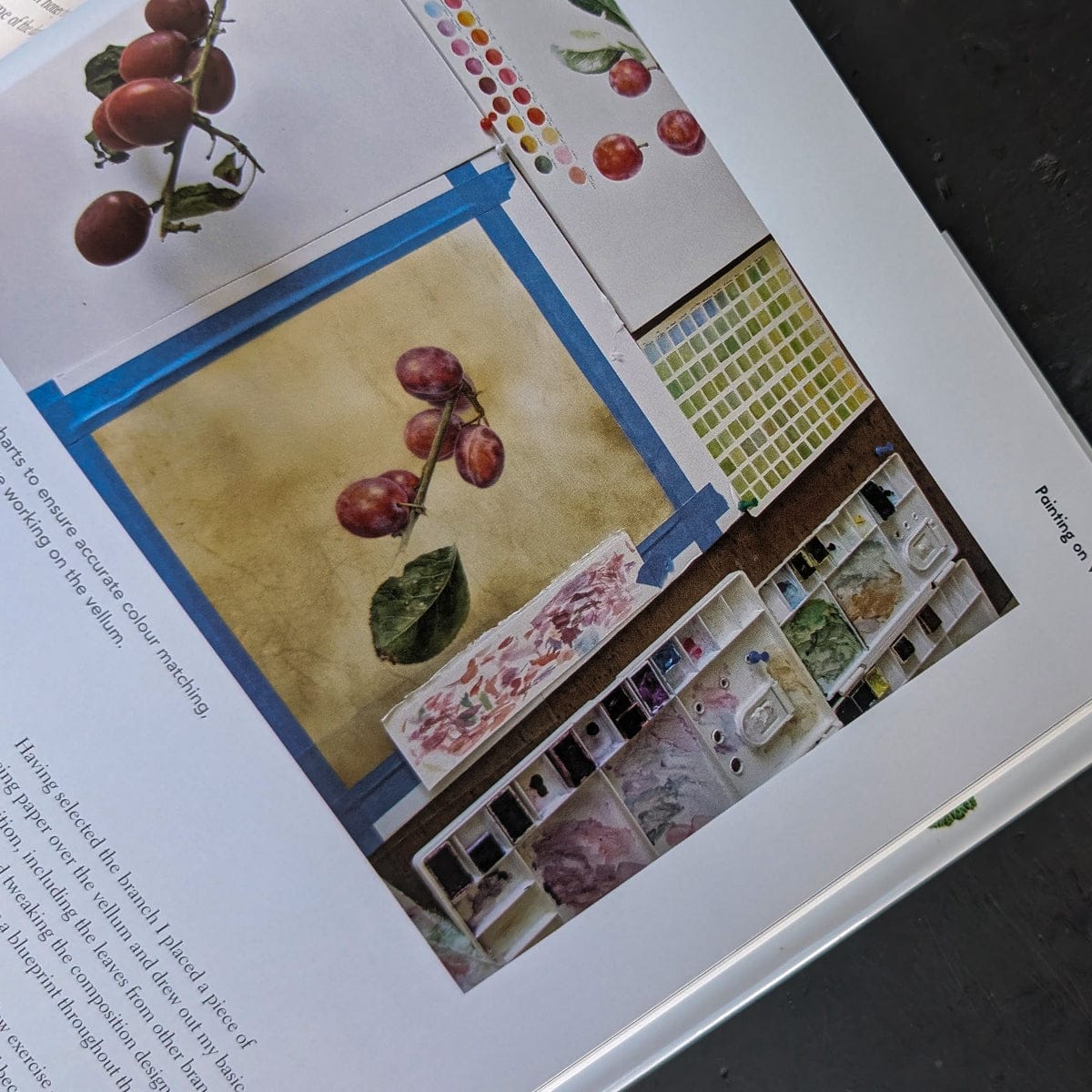 Penguin Random House Trade Book Botanical Painting by Margaret Stevens