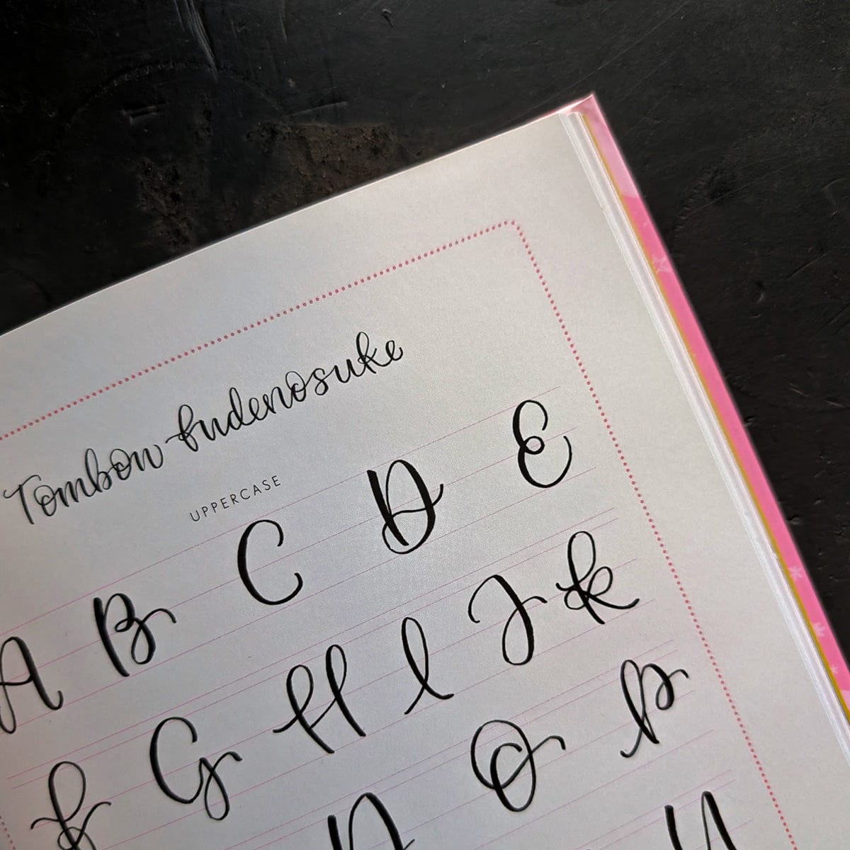 Penguin Random House Trade Book Brush Lettering by Rebecca Cahill Roots
