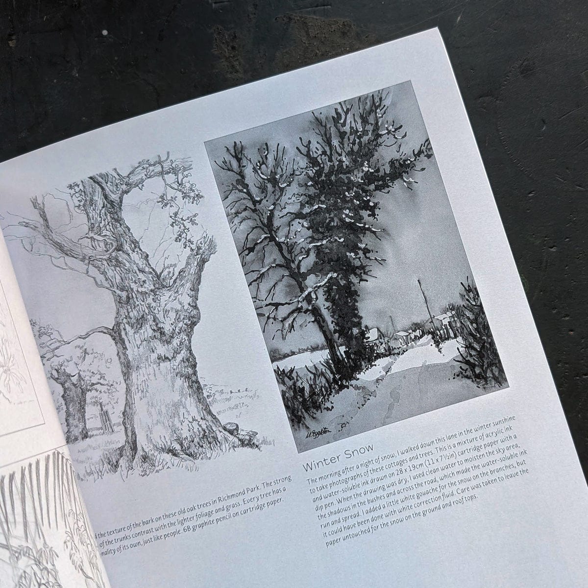 Penguin Random House Trade Book Drawing Landscapes by Margaret Eggleton