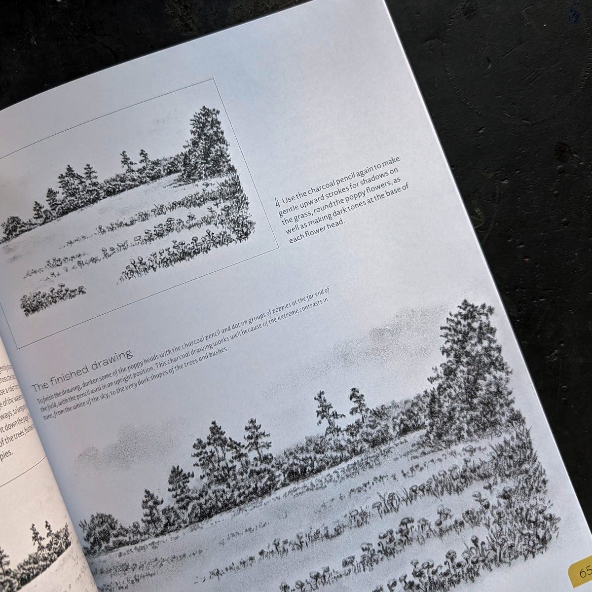 Penguin Random House Trade Book Drawing Landscapes by Margaret Eggleton