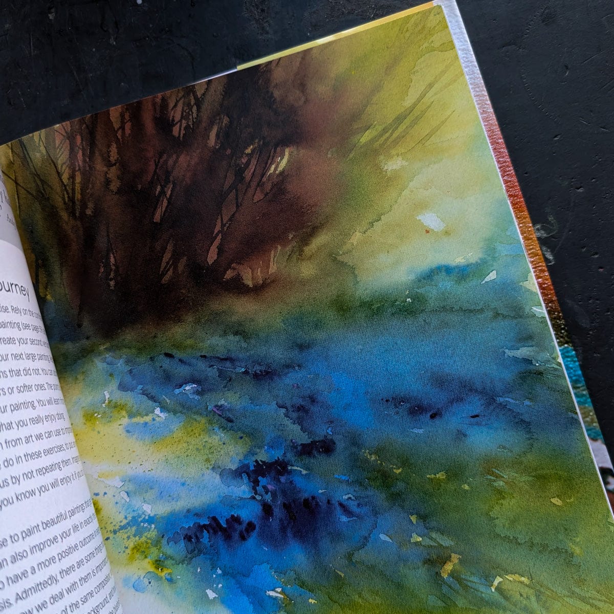 Penguin Random House Trade Book Paint Yourself Positive by Jean Haines